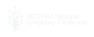 VNSO